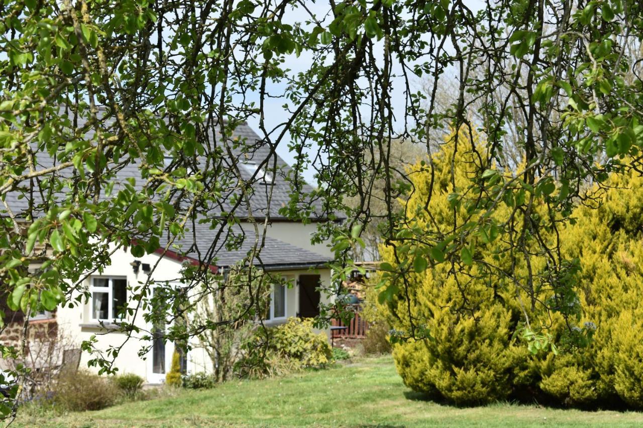 Le Petit Verger Céaucé Exterior foto