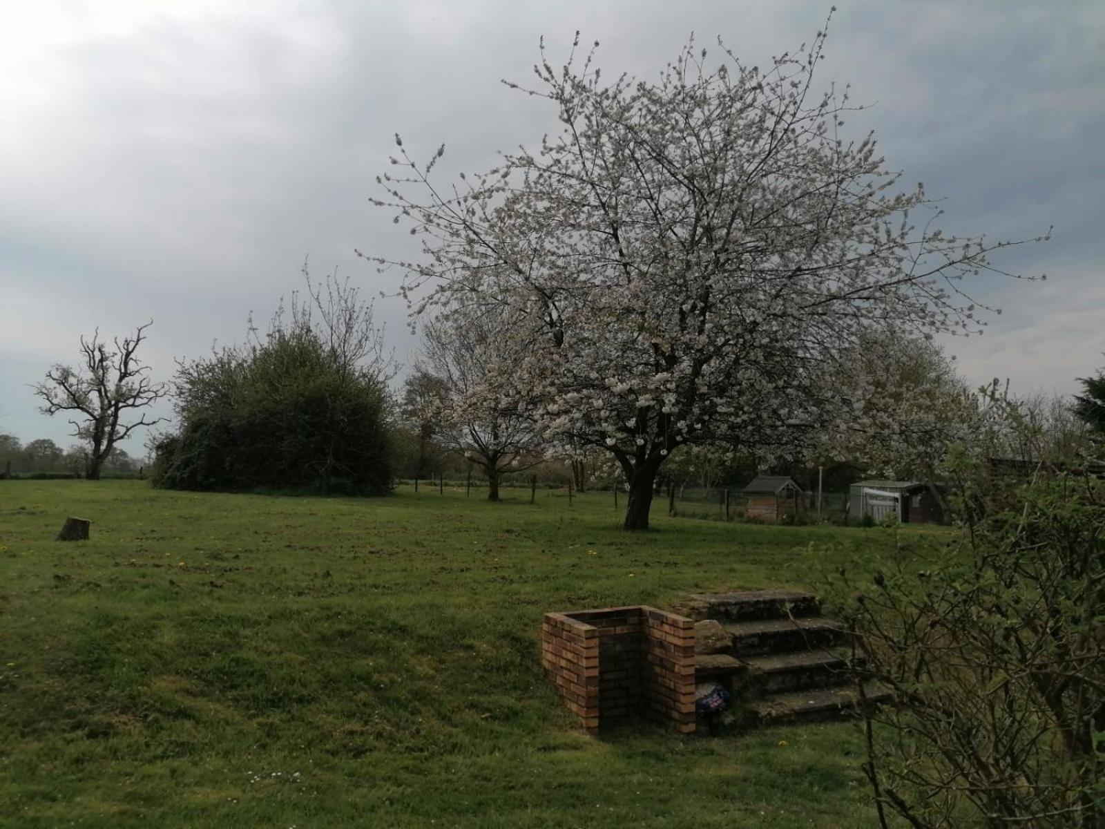 Le Petit Verger Céaucé Exterior foto