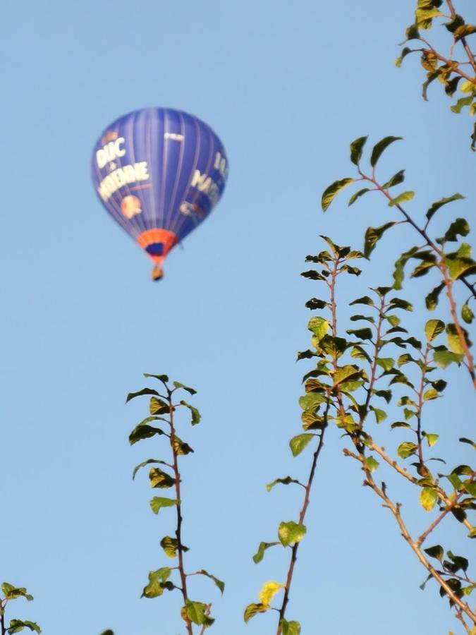 Le Petit Verger Céaucé Exterior foto